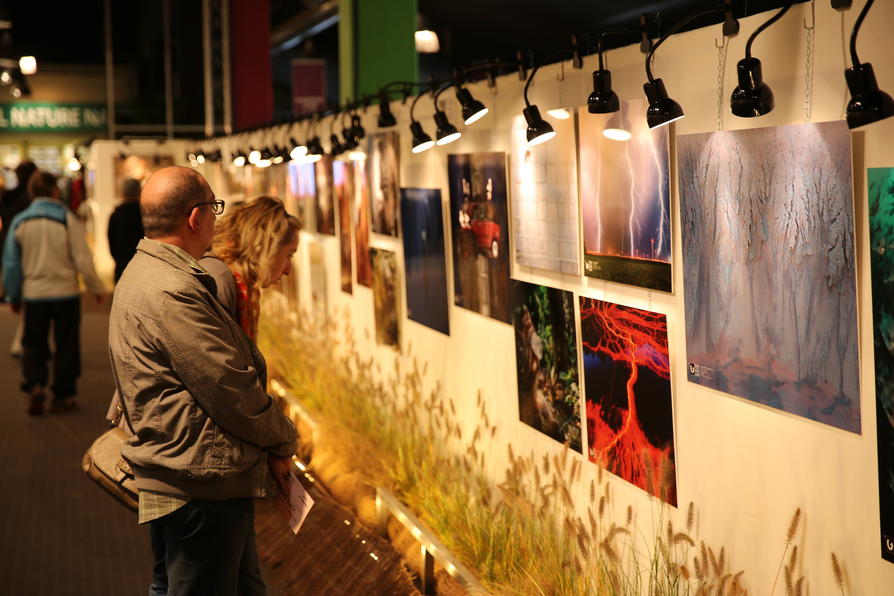 Le Concours International Nature Namur - Festival Nature Namur