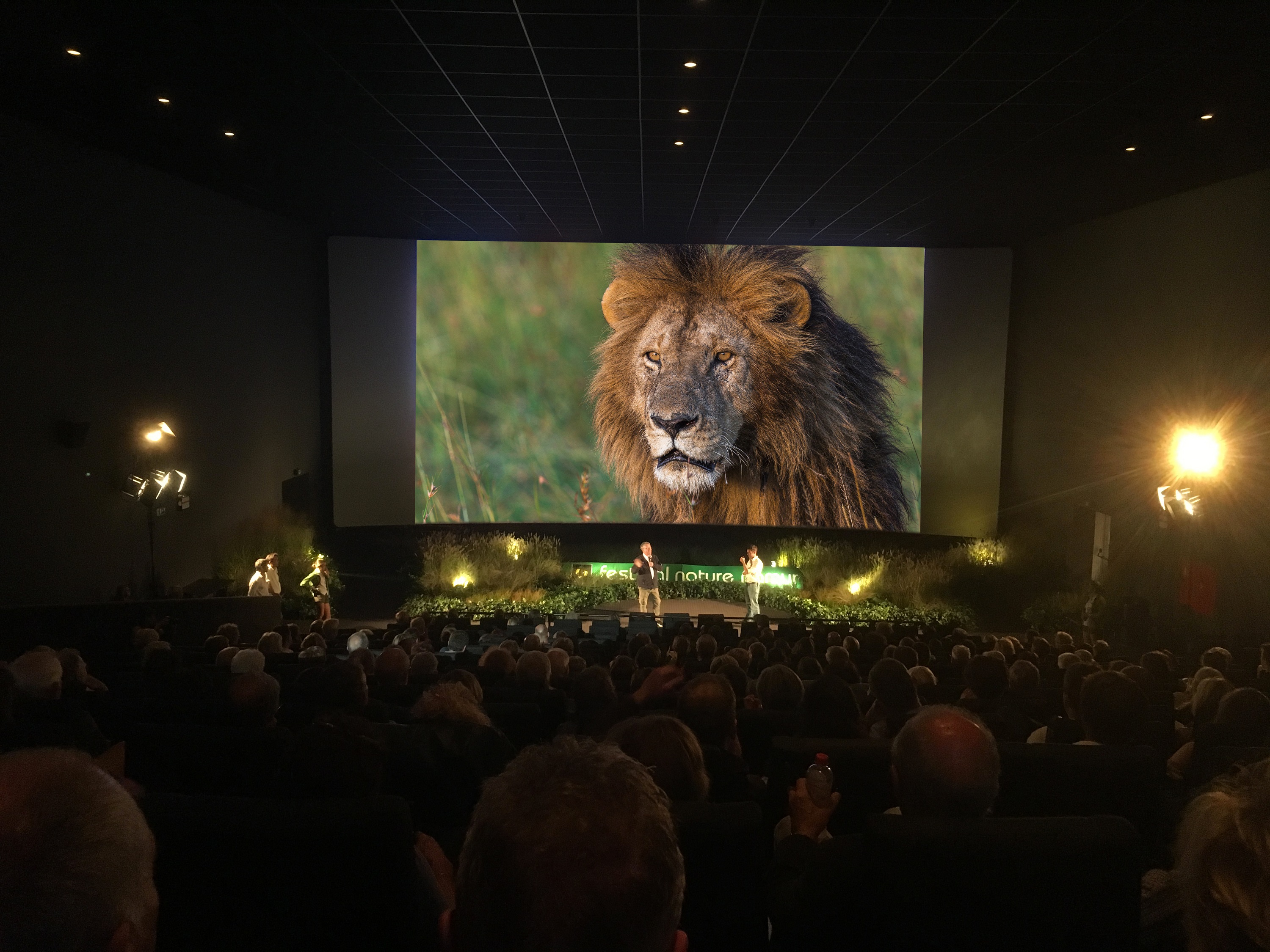 Une séance au Festival - Festival Nature Namur