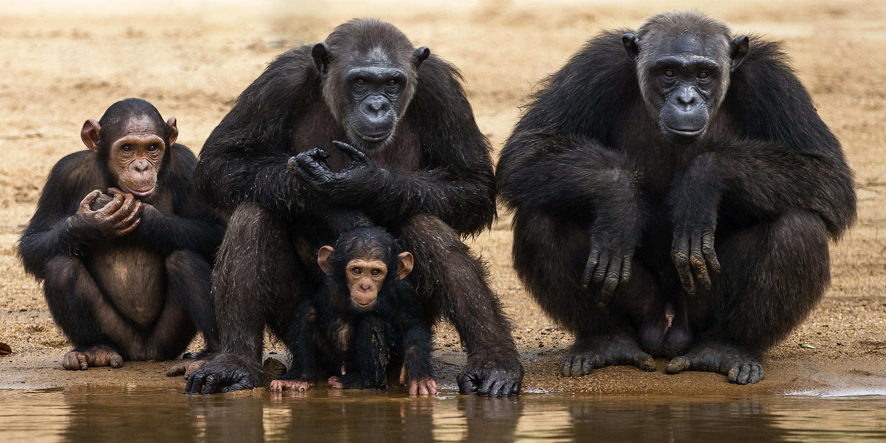 photo de famille - sabine trensz