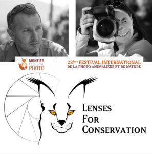 653_lenses_portraits.jpg -