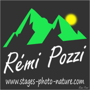 654_remi-pozzi.jpg -