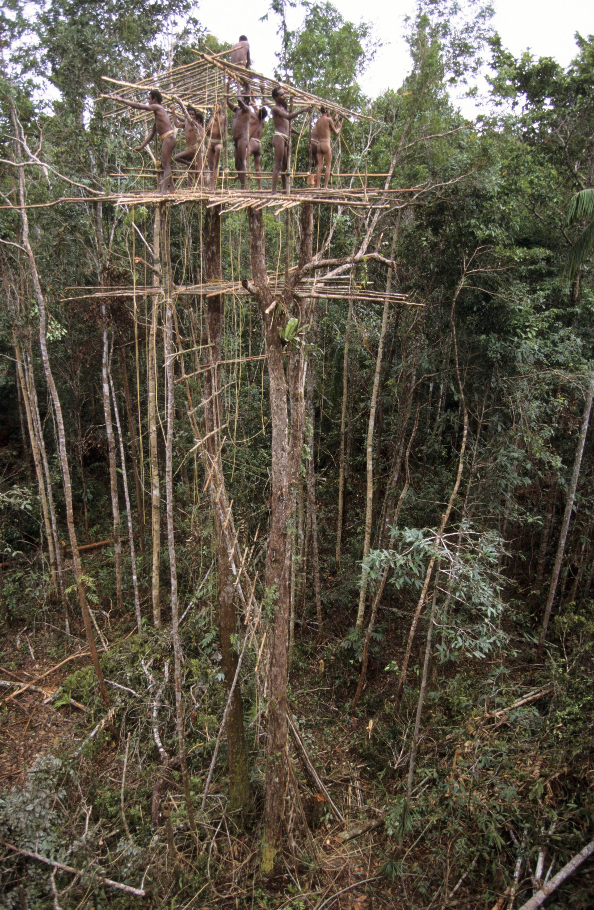 Le peuple des arbres_3 - Eric Baccega