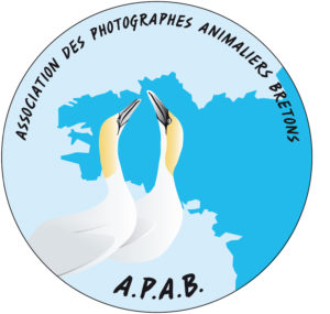 91_logo-3000.jpg -