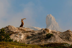 Montier Photo Festival