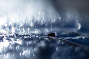Turbulences - Maussion Didier