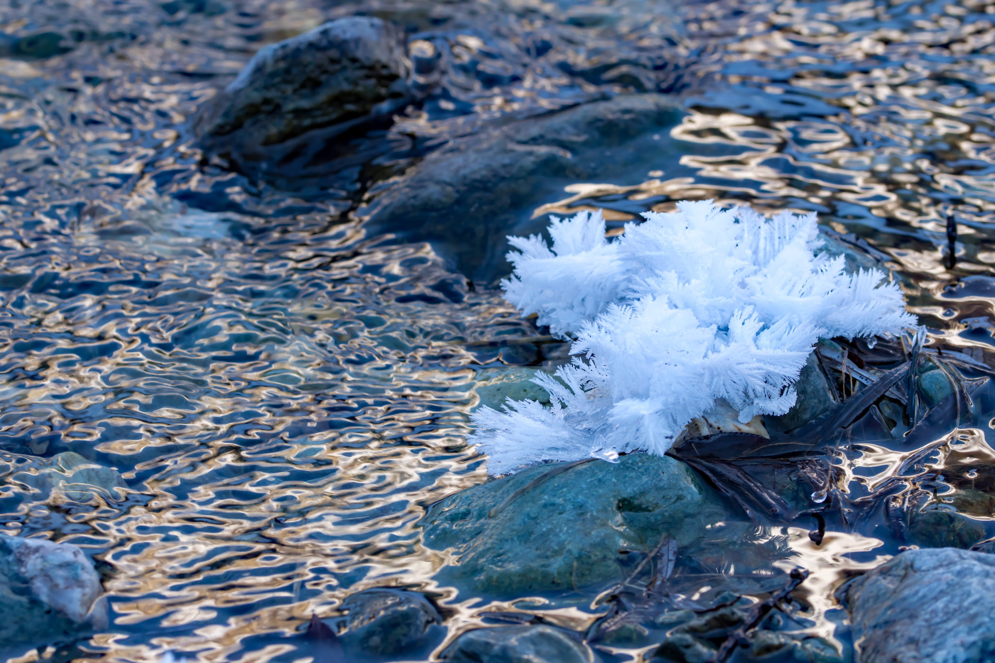 Glace - Vincent Viricel