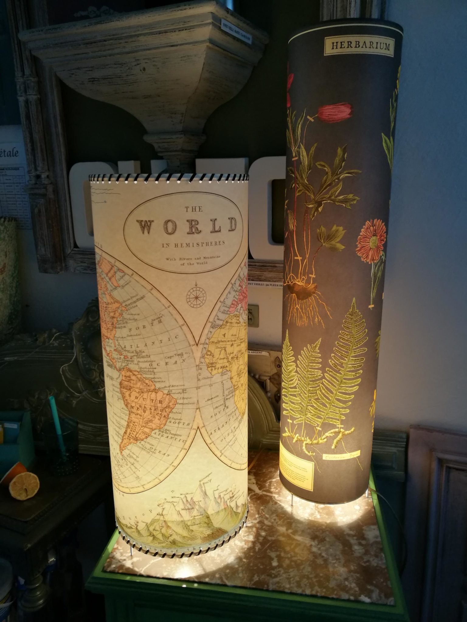 The world et Herbarium - ©carolegénin