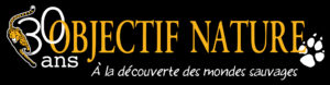 Montier Photo Festival