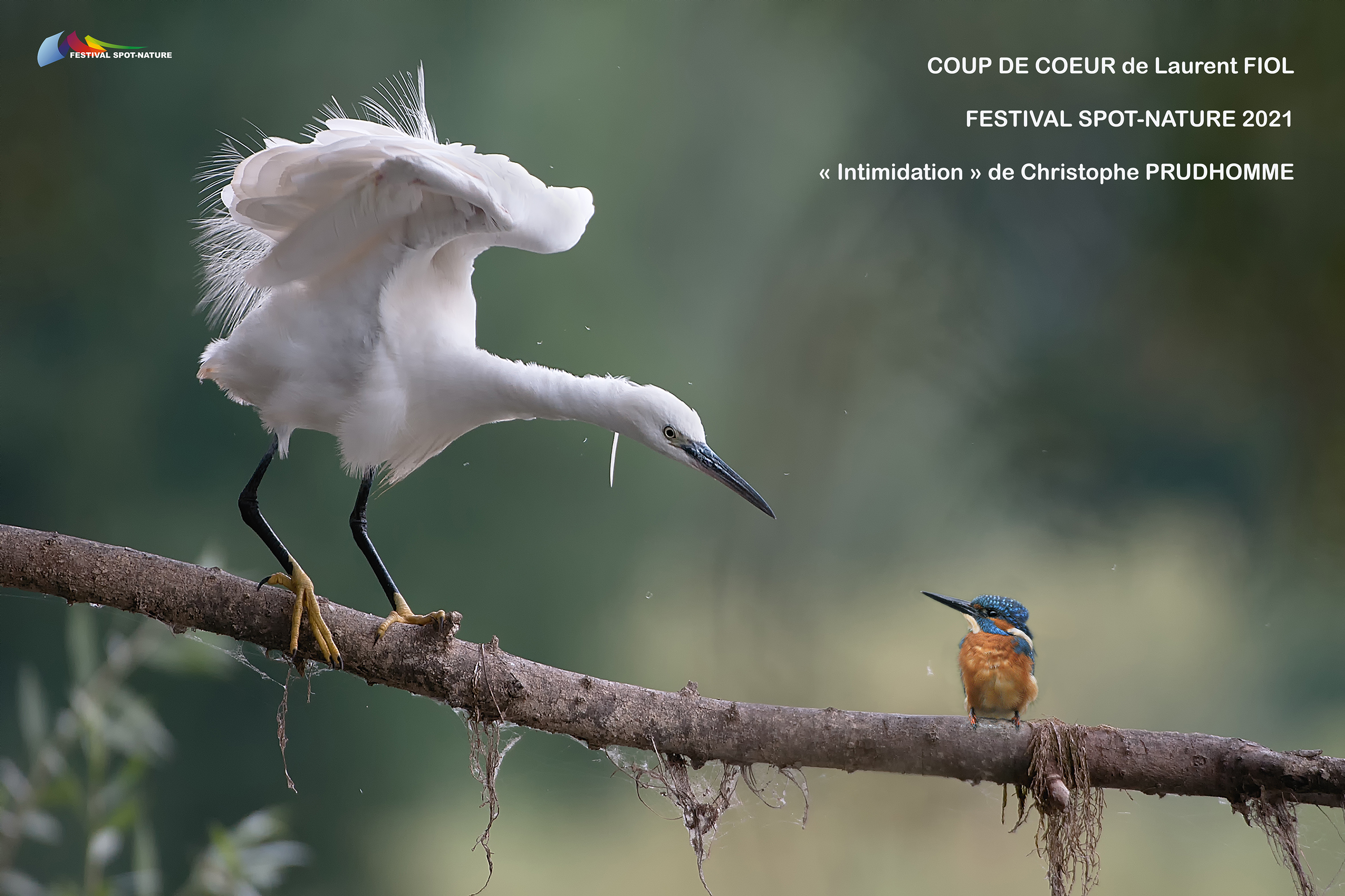 Intimidation - Christophe Prudhomme