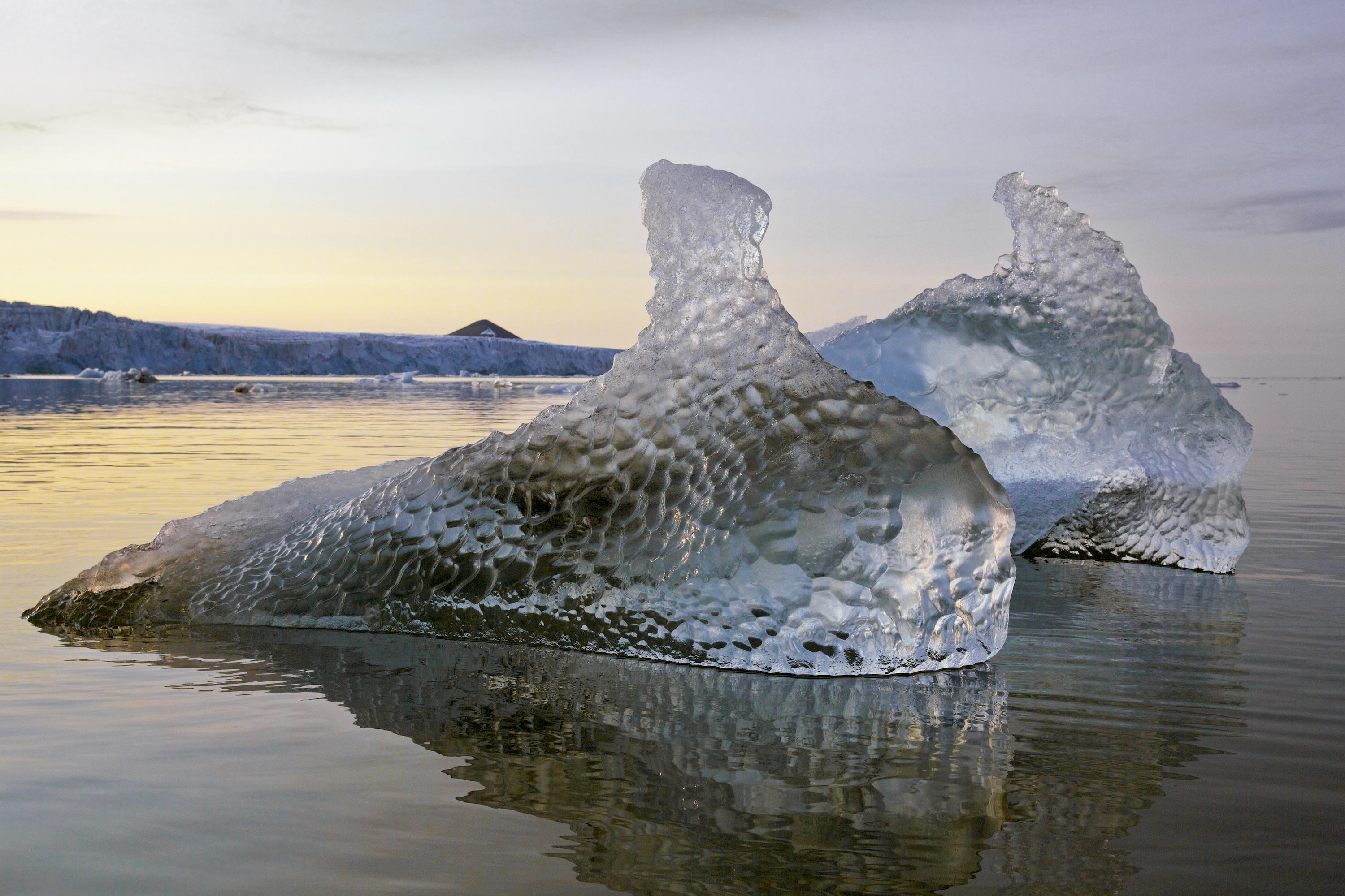 Norvège/Svalbard/Bestiaire de glace - Michel Rawicki