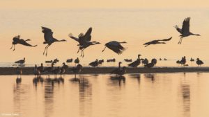 Montier Photo Festival