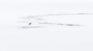 Montier Photo Festival