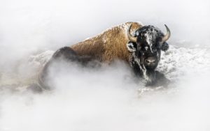 Montier Photo Festival