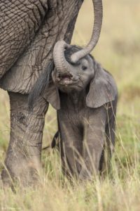 Montier Photo Festival