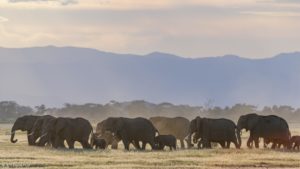 Montier Photo Festival