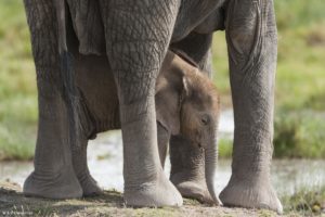 Montier Photo Festival