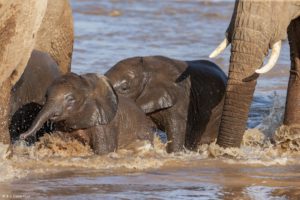 Montier Photo Festival