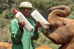 Montier Photo Festival