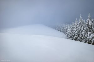 Montier Photo Festival