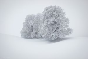 Montier Photo Festival