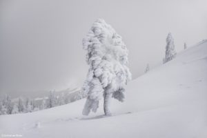 Montier Photo Festival