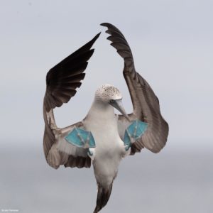 Montier Photo Festival