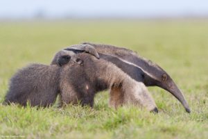 Montier Photo Festival