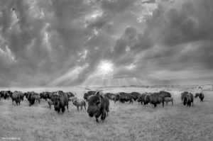 Montier Photo Festival
