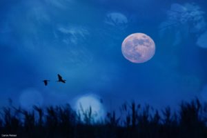 Montier Photo Festival