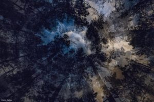 Montier Photo Festival