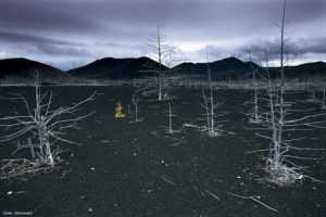 Montier Photo Festival