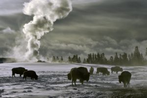 Montier Photo Festival