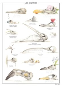 Montier Photo Festival