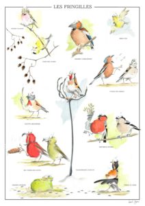 Montier Photo Festival