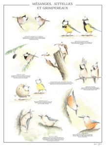 Montier Photo Festival