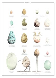 Montier Photo Festival