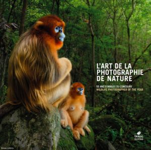 Montier Photo Festival