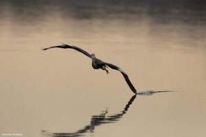 Montier Photo Festival