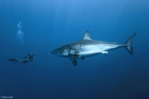 Montier Photo Festival