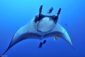 Montier Photo Festival