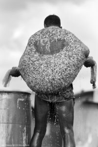 Montier Photo Festival