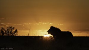 Montier Photo Festival