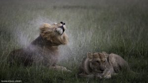 Montier Photo Festival