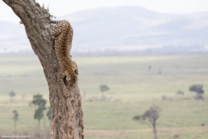 Montier Photo Festival