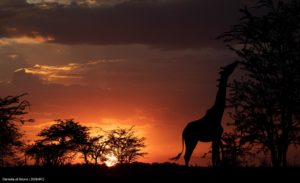 Montier Photo Festival