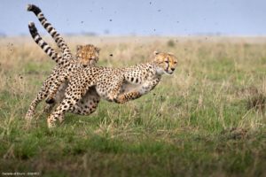 Montier Photo Festival