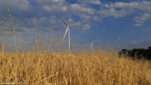 Céréales et Energie - Jeunes Agriculteurs Haute-Marne