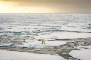 Montier Photo Festival