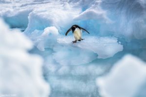 Montier Photo Festival