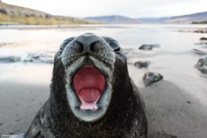 Montier Photo Festival